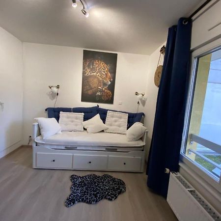 Appartement Esplanade Στρασβούργο Εξωτερικό φωτογραφία