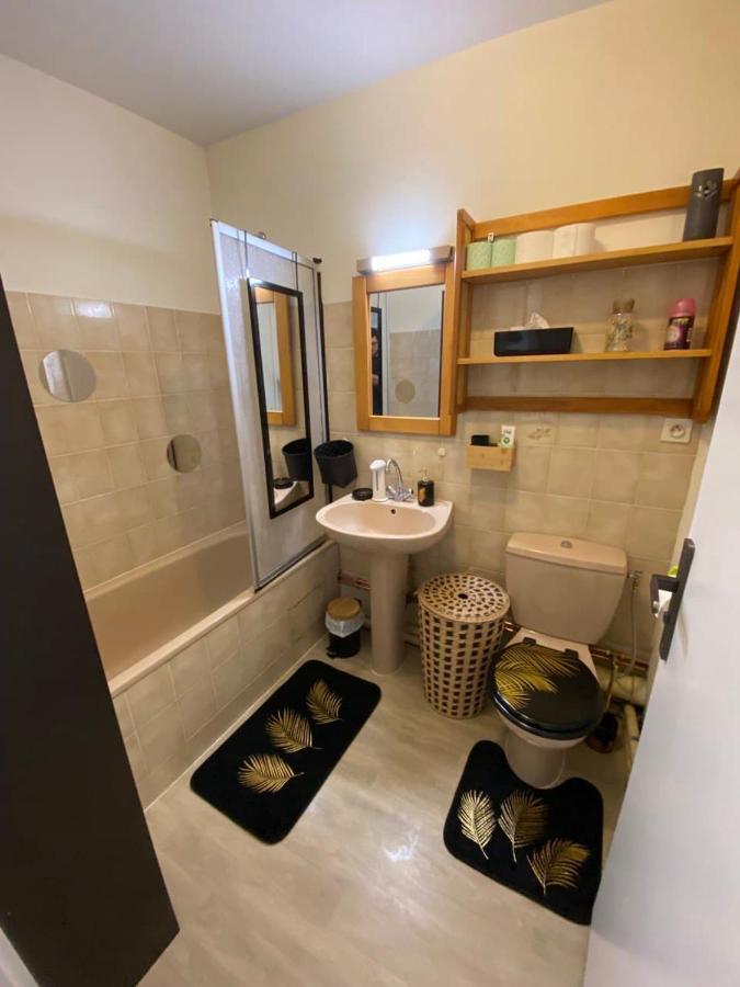 Appartement Esplanade Στρασβούργο Εξωτερικό φωτογραφία