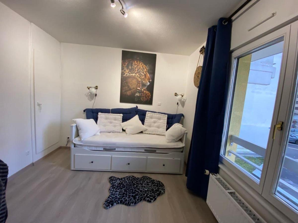 Appartement Esplanade Στρασβούργο Εξωτερικό φωτογραφία